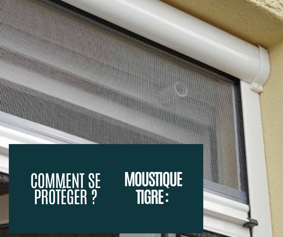 comment se protéger des moustiques tigres avec la pose de moustiquaire