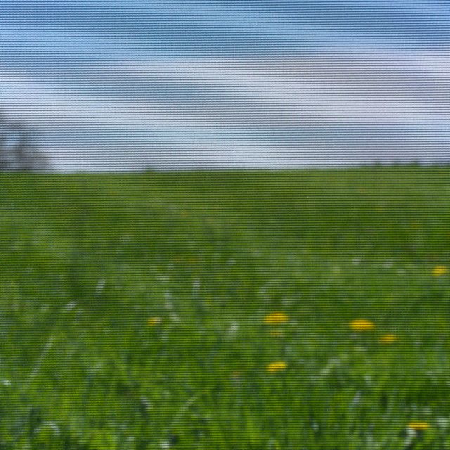 Moustiquaire Anti-Pollen : Une Protection Idéale pour les Personnes Allergiques