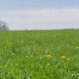 toile moustiquaire vue dégagée