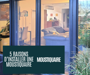 5 raisons d installer une moustiquaire