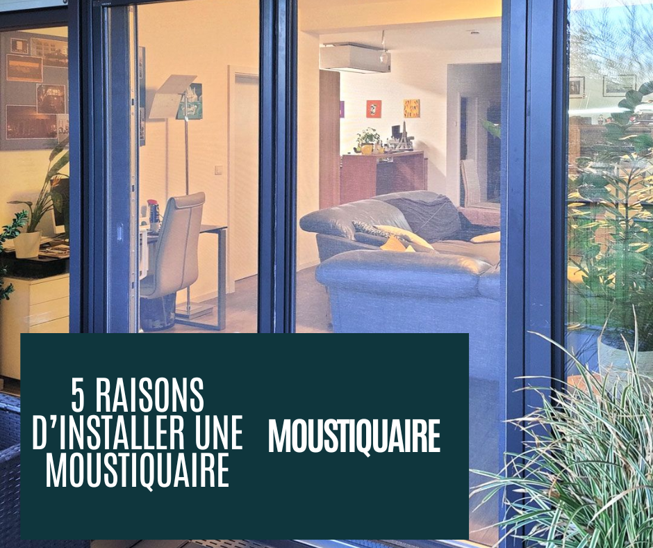 5 raisons d installer une moustiquaire